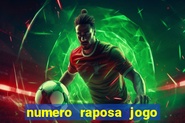 numero raposa jogo do bicho